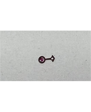 Immagine WhatsApp 2024-02-16 ore 09.46.50_4129c425