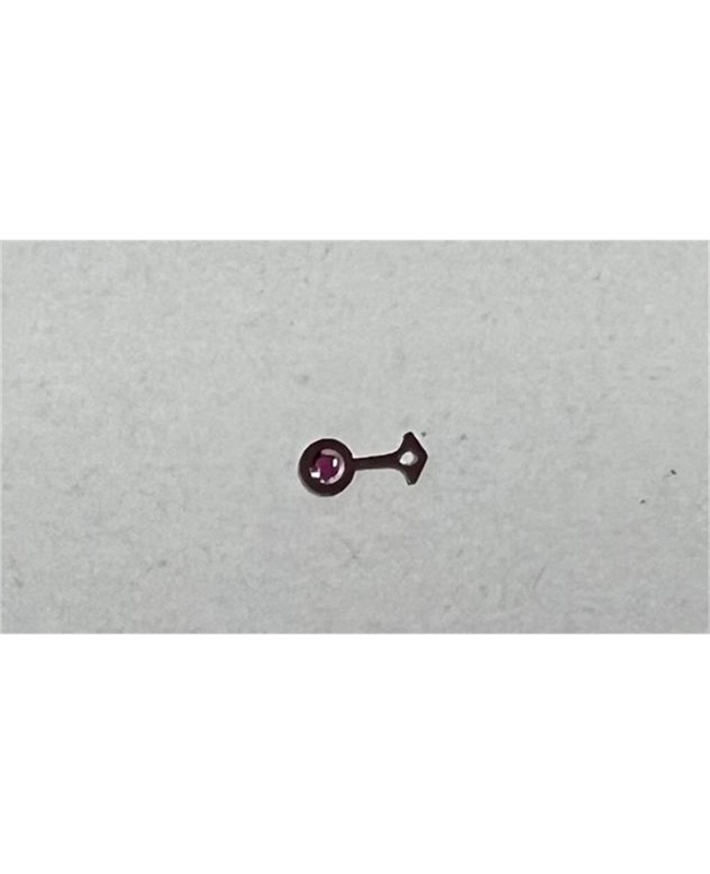 Immagine WhatsApp 2024-02-16 ore 09.46.50_4129c425