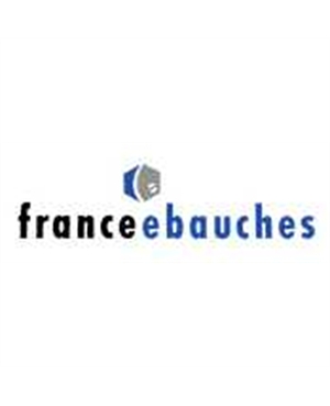 LOGO FRANCEEBAUCHES